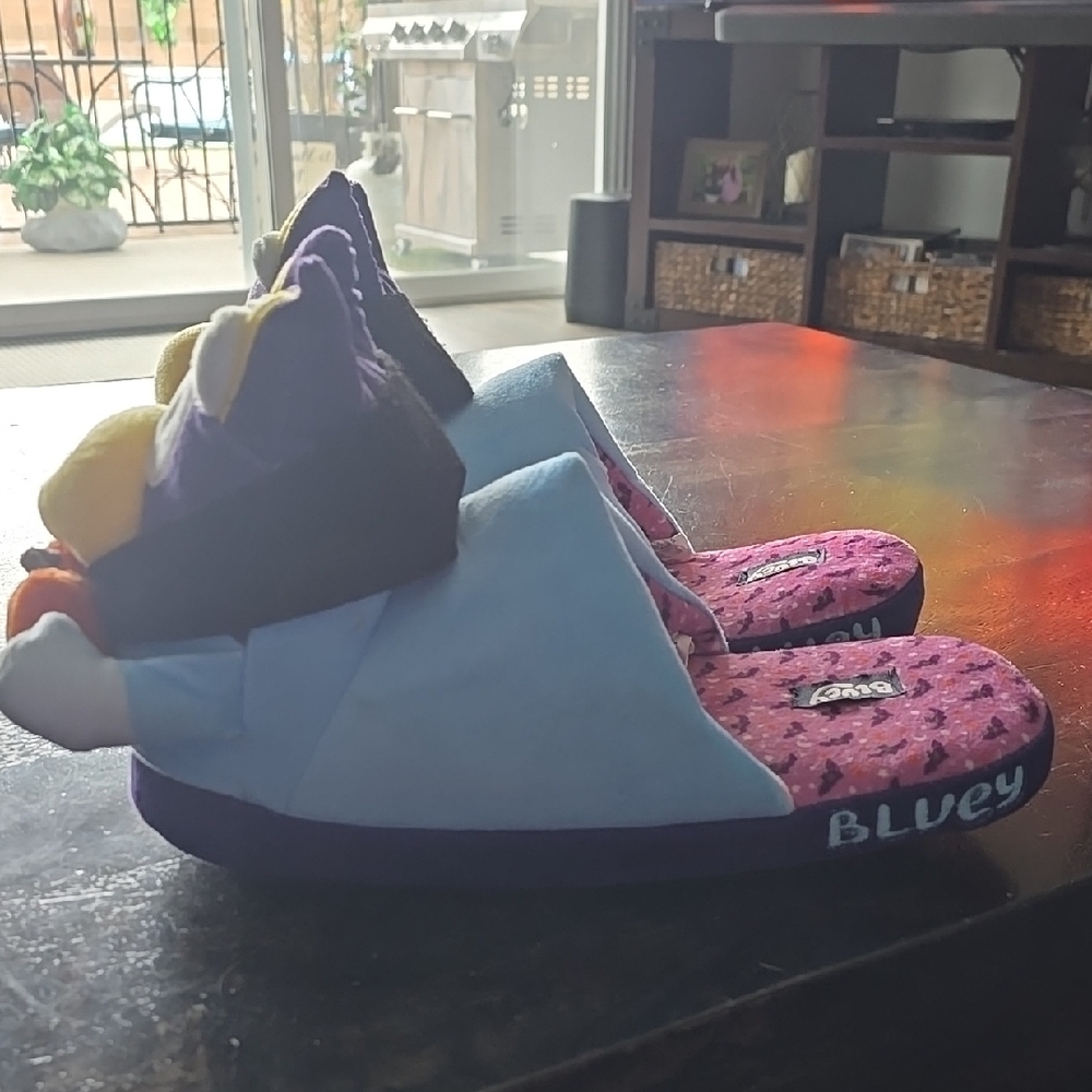 Bluey Purple and Blue Men's Slippers